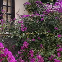 фото из отзыва ID 1347257