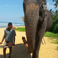 фото из отзыва ID 1347133