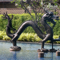 фото из отзыва ID 1347272