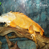 фото из отзыва ID 1346861