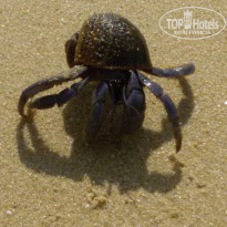 фото из отзыва ID 1347307