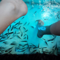 фото из отзыва ID 1347324