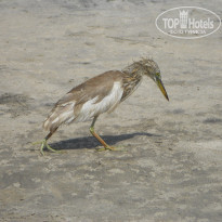 фото из отзыва ID 1347386