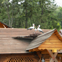 фото из отзыва ID 1347418