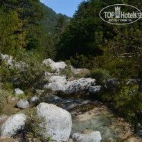 фото из отзыва ID 1347462