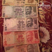 фото из отзыва ID 1347557