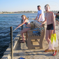 фото из отзыва ID 1347631