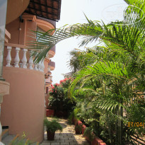 фото из отзыва ID 1347653