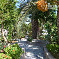 фото из отзыва ID 1347713