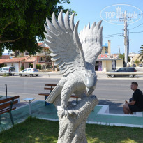 фото из отзыва ID 1347713