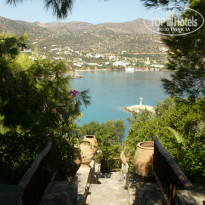 фото из отзыва ID 1347714