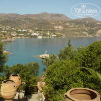 фото из отзыва ID 1347714