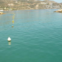 фото из отзыва ID 1347714