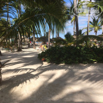 фото из отзыва ID 1347796