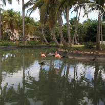 фото из отзыва ID 1347796