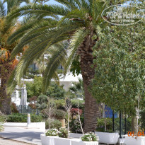 фото из отзыва ID 1347842