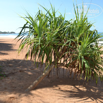 фото из отзыва ID 1347845