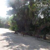 фото из отзыва ID 1347895