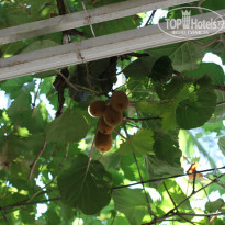 фото из отзыва ID 1347972