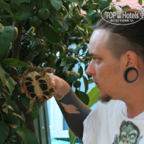 фото из отзыва ID 1347972