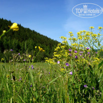 фото из отзыва ID 1348030