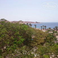 фото из отзыва ID 1348190