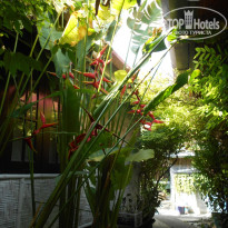 фото из отзыва ID 1348295