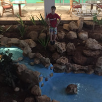 фото из отзыва ID 1348378