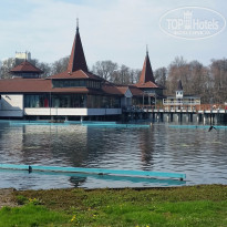 фото из отзыва ID 1348512