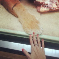 фото из отзыва ID 1348707