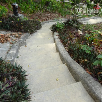 фото из отзыва ID 1348772