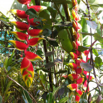 фото из отзыва ID 1348784