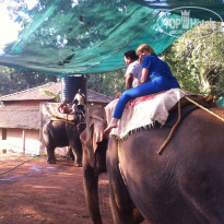 фото из отзыва ID 1348784