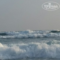 фото из отзыва ID 1348785