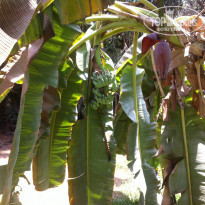 фото из отзыва ID 1348784