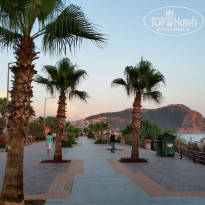 фото из отзыва ID 1348832