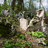 фото из отзыва ID 1348845