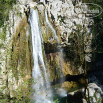 фото из отзыва ID 1348845