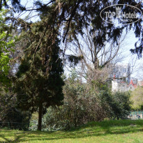 фото из отзыва ID 1348845