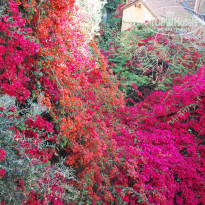 фото из отзыва ID 1348970