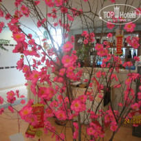 фото из отзыва ID 1348441