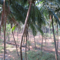 фото из отзыва ID 1349213