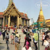 фото из отзыва ID 1349255