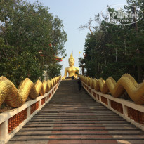 фото из отзыва ID 1349255