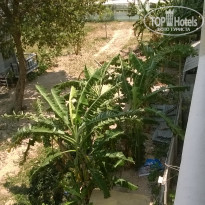 фото из отзыва ID 1349255