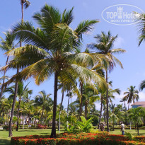 фото из отзыва ID 1349282