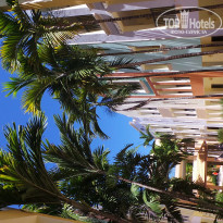 фото из отзыва ID 1349282