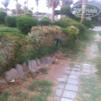 фото из отзыва ID 1349331