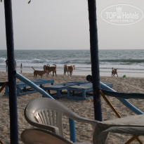 фото из отзыва ID 1349460