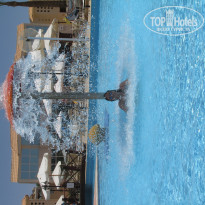 фото из отзыва ID 1349600